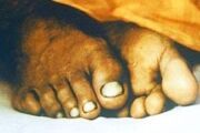 Prabhupada Lotus Feet1 (1)