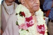 Srila Prabhupada1 (39)