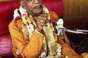 Srila Prabhupada1 (53)