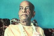 Srila Prabhupada1 (59)