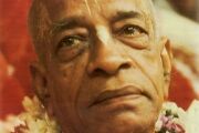 Srila Prabhupada1 (80)