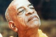 Srila Prabhupada1 (81)